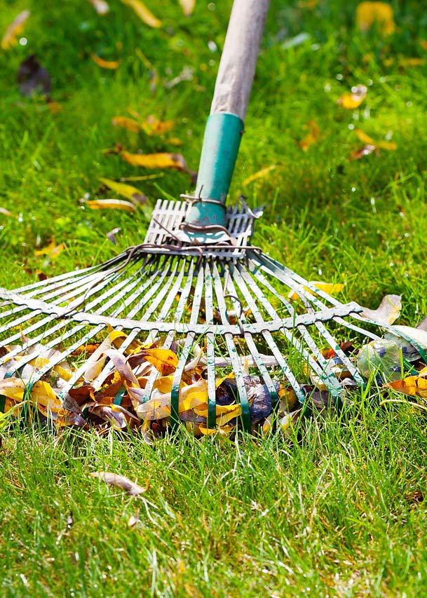 Gardener in Horsmonden Rake